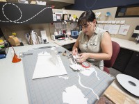 Behind the Scenes: Our Design Team Image