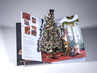 Pier 1 Pop-Up Catalog Image